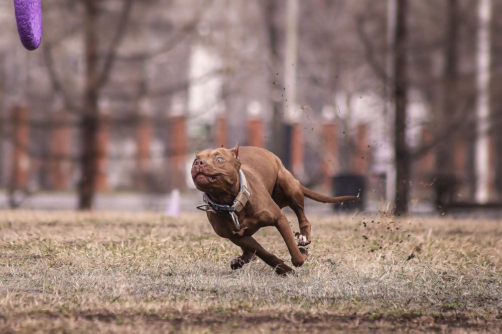 Фотография автора Наталия