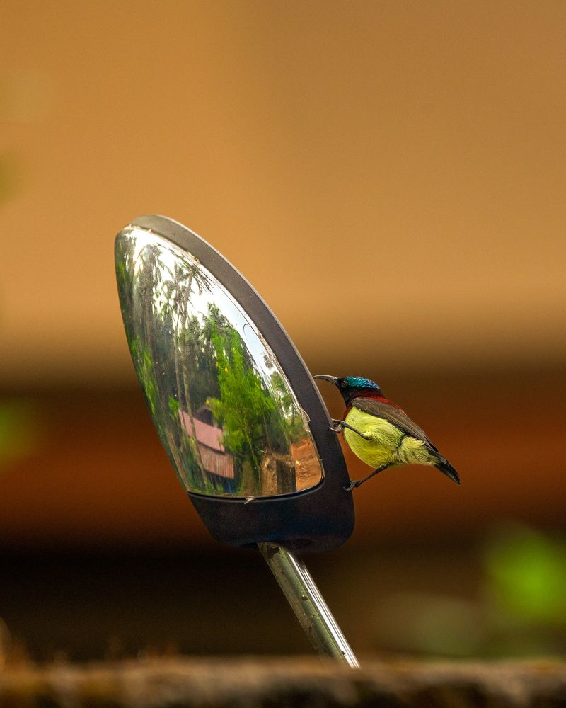 Photograph by Vinayak Naik