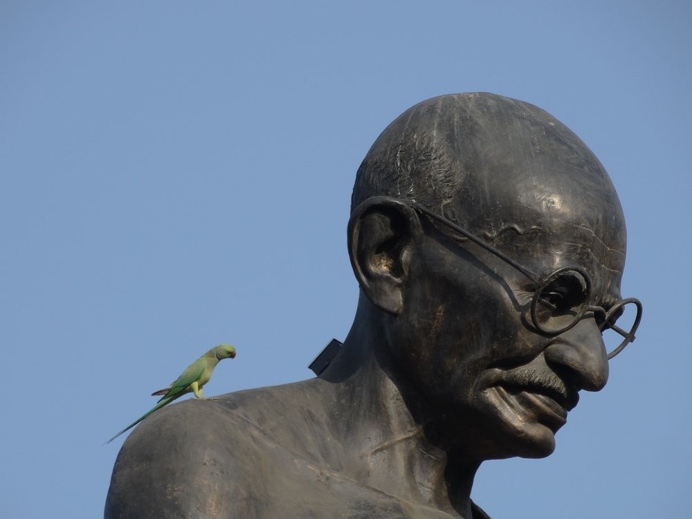 Photograph by Виктор Бута