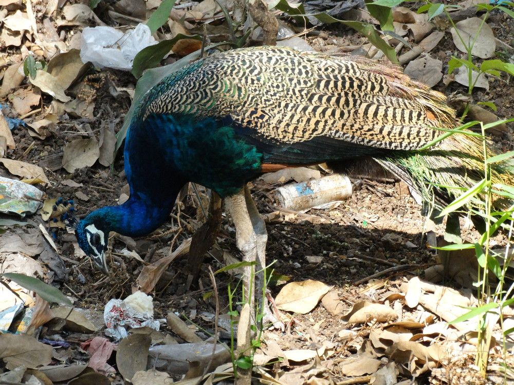 Photograph by Виктор Бута