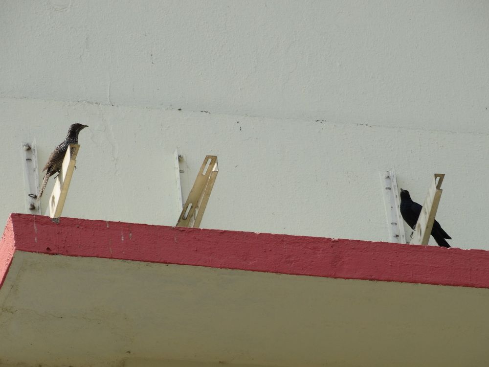 Photograph by Виктор Бута