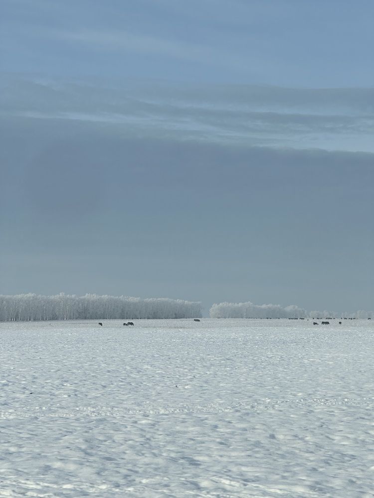 Photograph by Svetlana Tolkunova