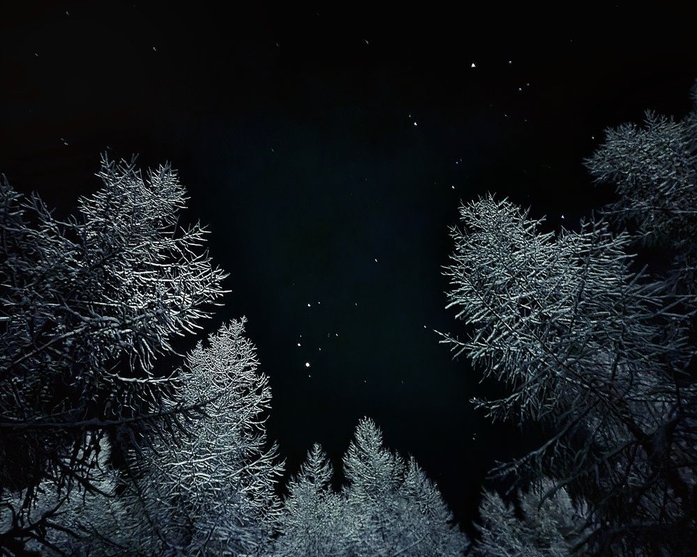 Photograph by Ирина