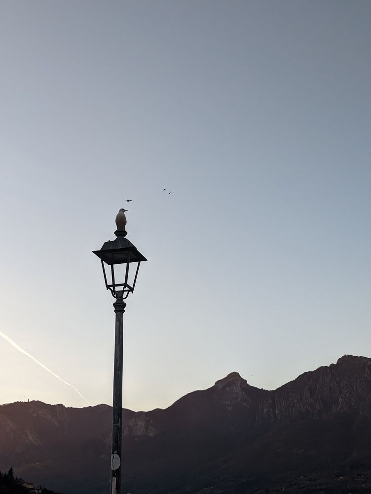 Photograph by Viktoriya Filip