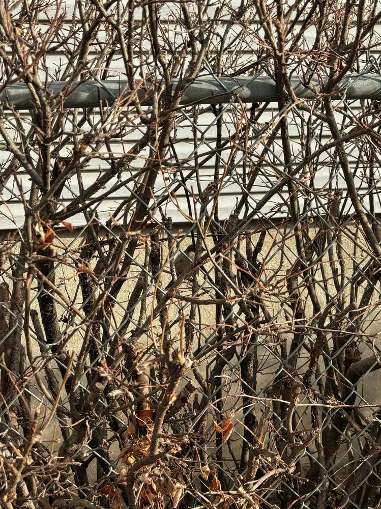 Фотография автора Anastasia Selianko