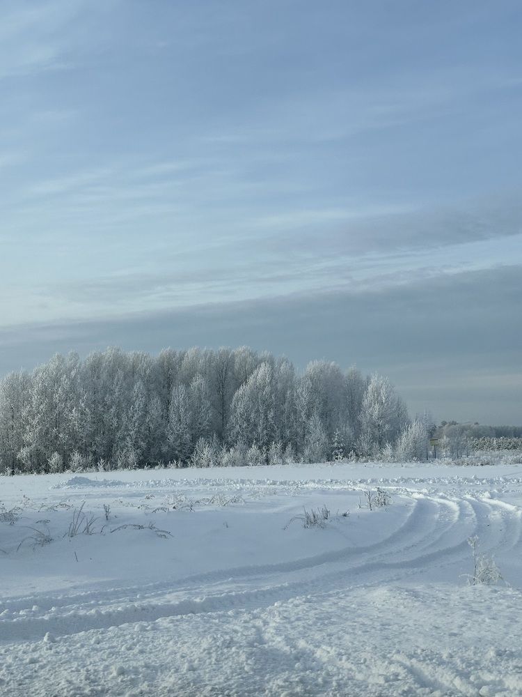 Photograph by Svetlana Tolkunova