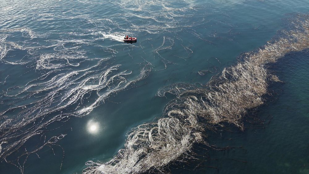 Photograph by Татьяна Котенко