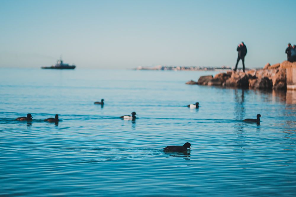 Photograph by Magic Helios