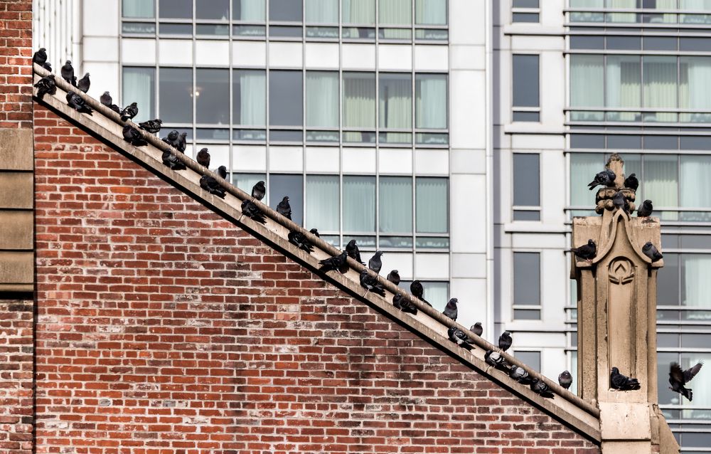 Photograph by Анатолий Костерев