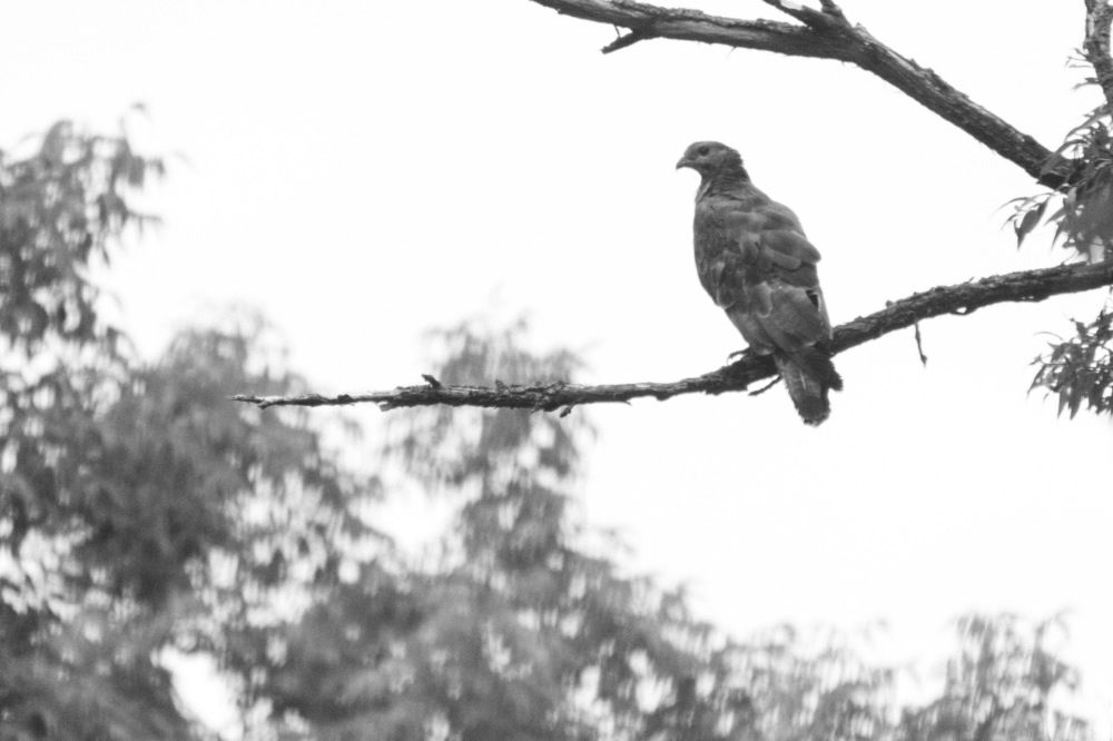 Фотография автора Любовь Сергеева