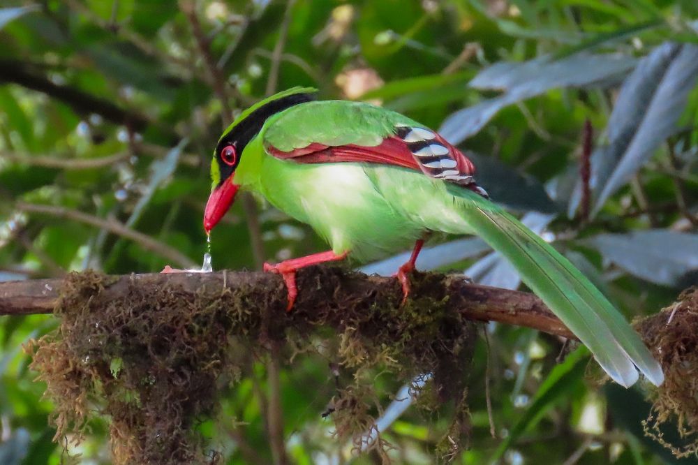 Photograph by Tanusri RoyChowdhury
