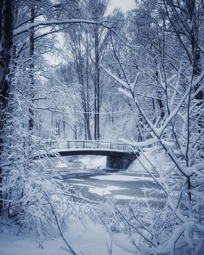 Photograph by Марина Леонова