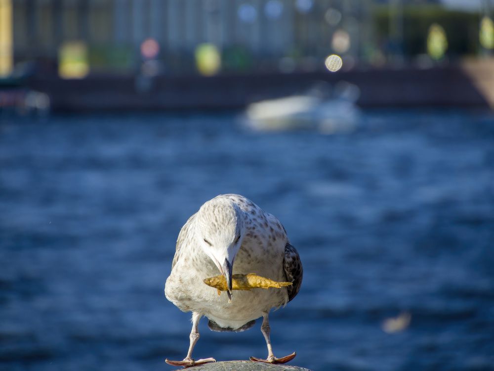 Photograph by Валерий Лунев