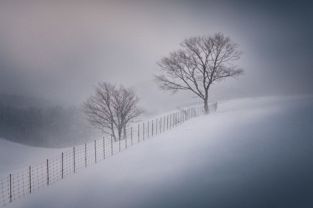 Stand Strong Together