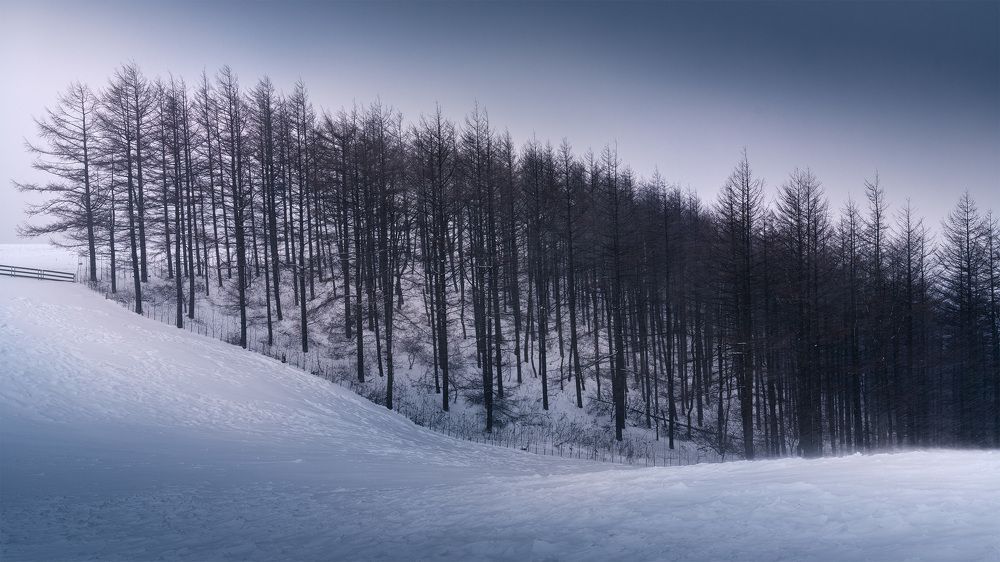 Фотография автора Dipak Thapa