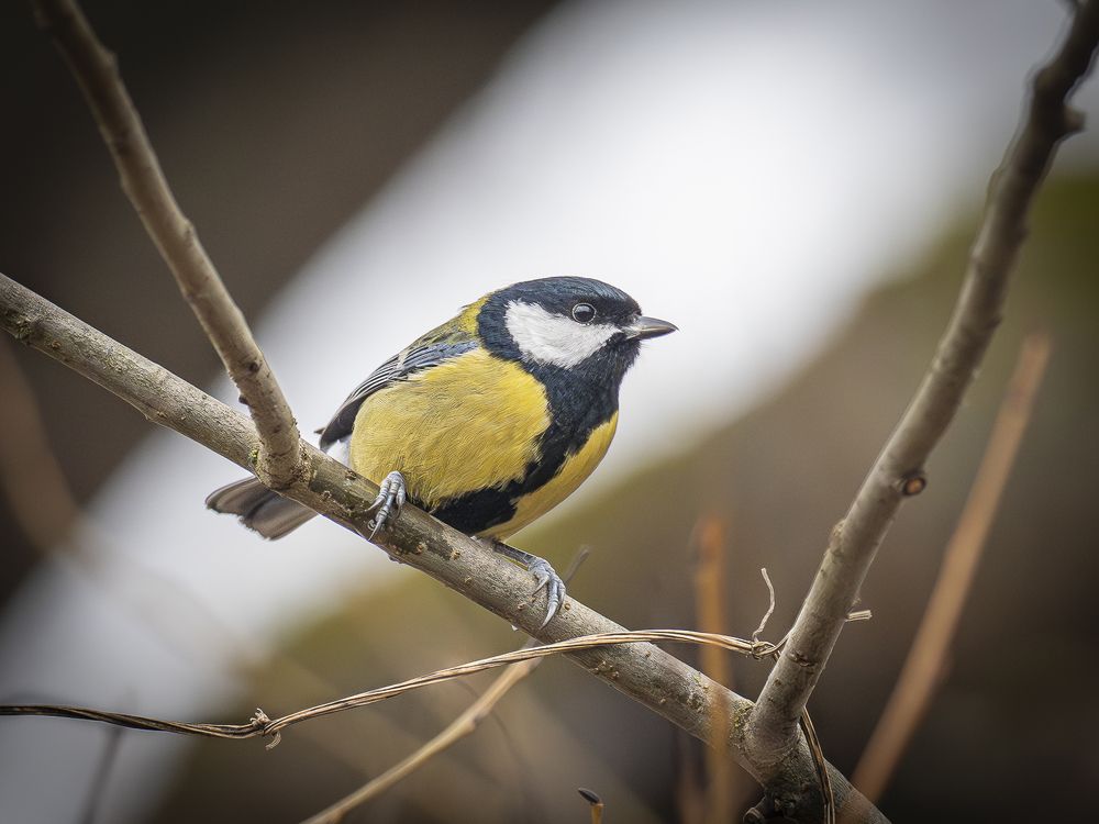 Photograph by Ignatov Yury