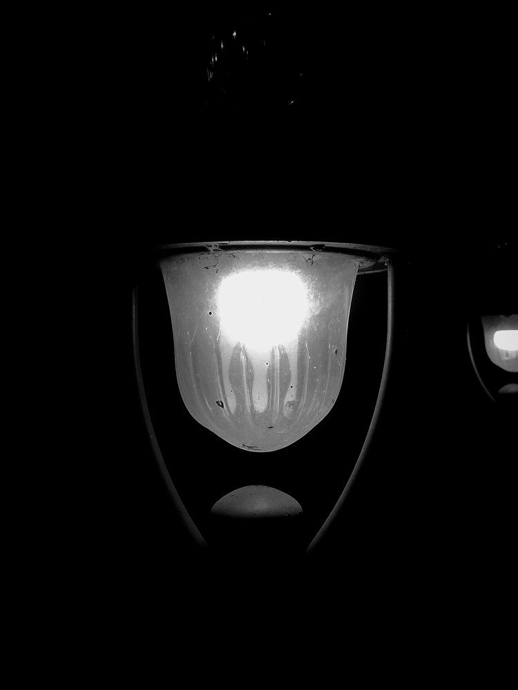Photograph by Ashwini Rai