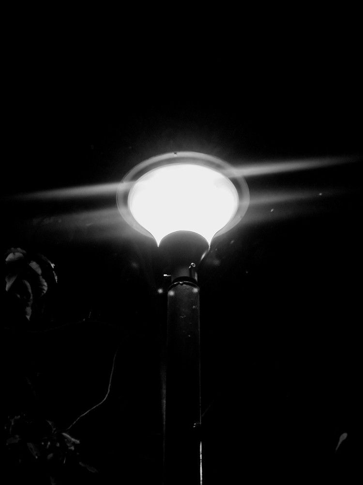 Photograph by Ashwini Rai