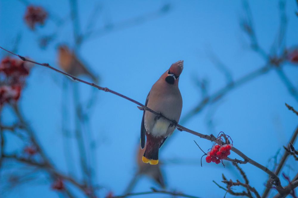 Photograph by Юлия Крюкова