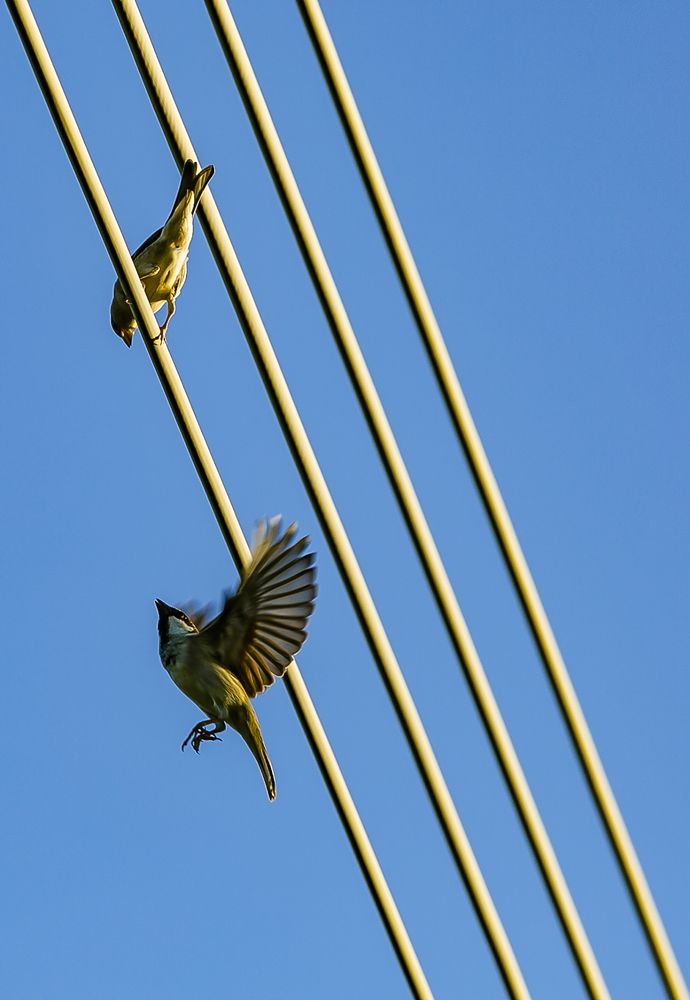 Фотография автора Dinh lh