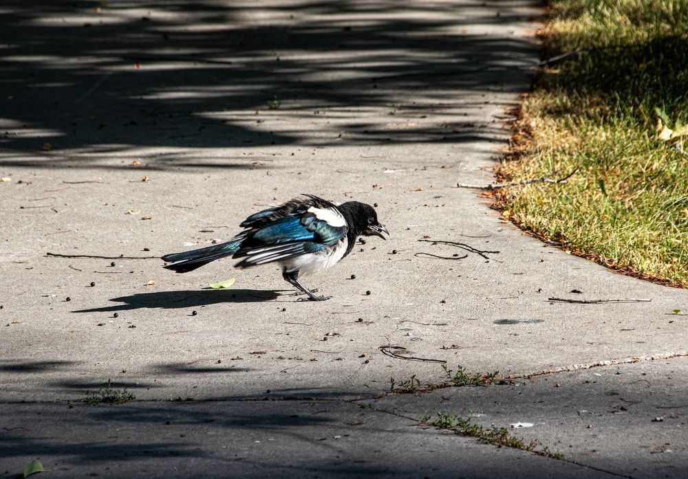 Photograph by Анатолий Костерев