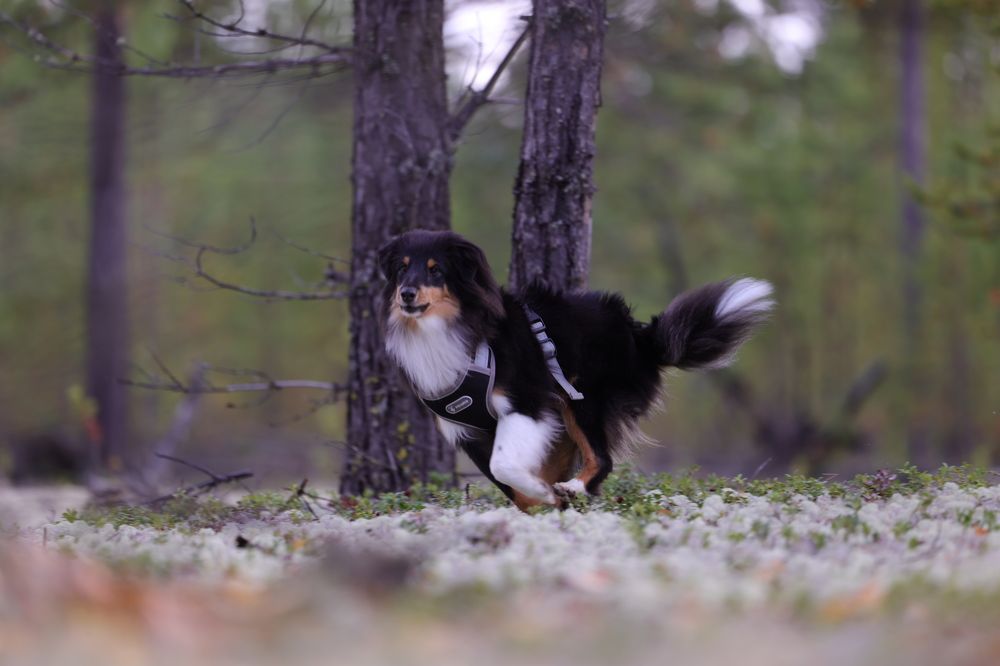 Photograph by Сергей Хитра