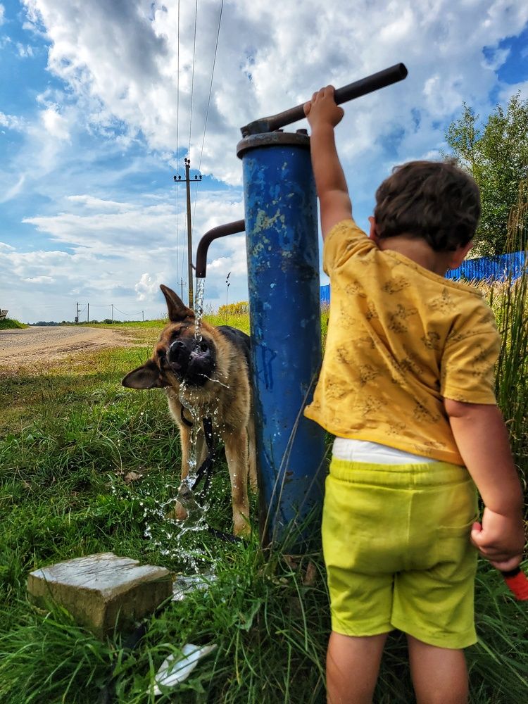 Photograph by Алина