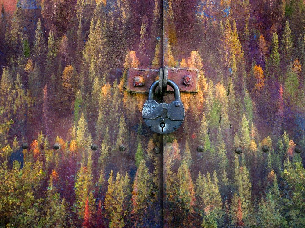 Photograph by Александр АГ