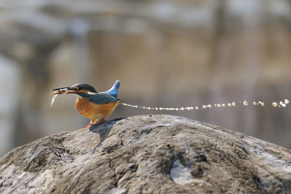 Photograph by Benny Chan