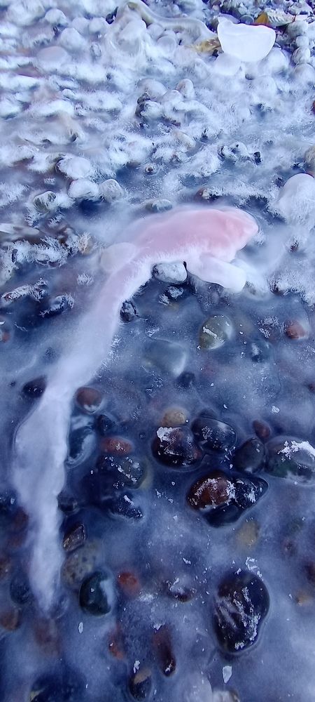 Photograph by Юлия Лихачева