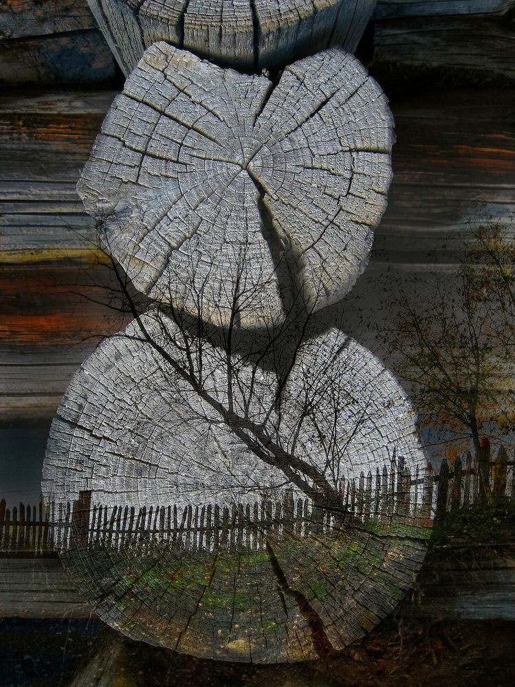 Photograph by Александр АГ