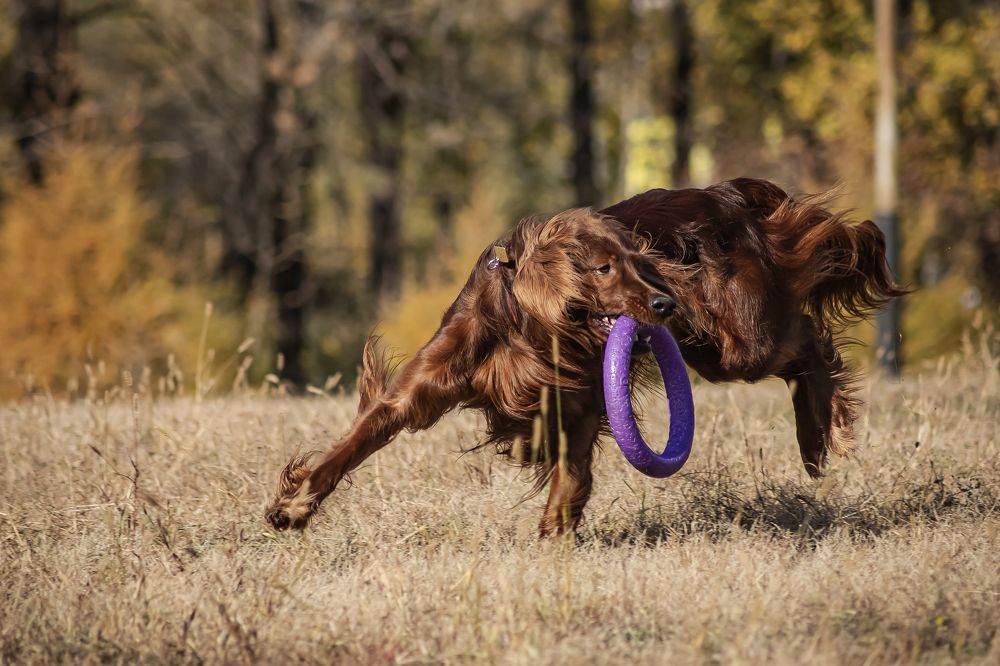Фотография автора Наталия