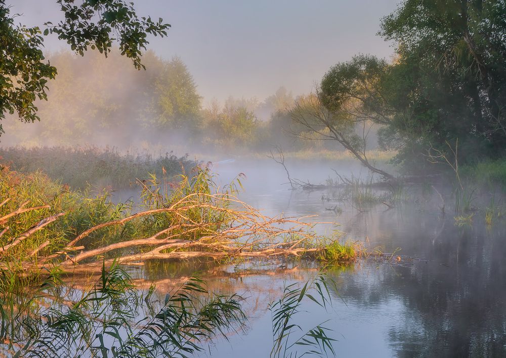 Фотография автора Andrew Kuzmin