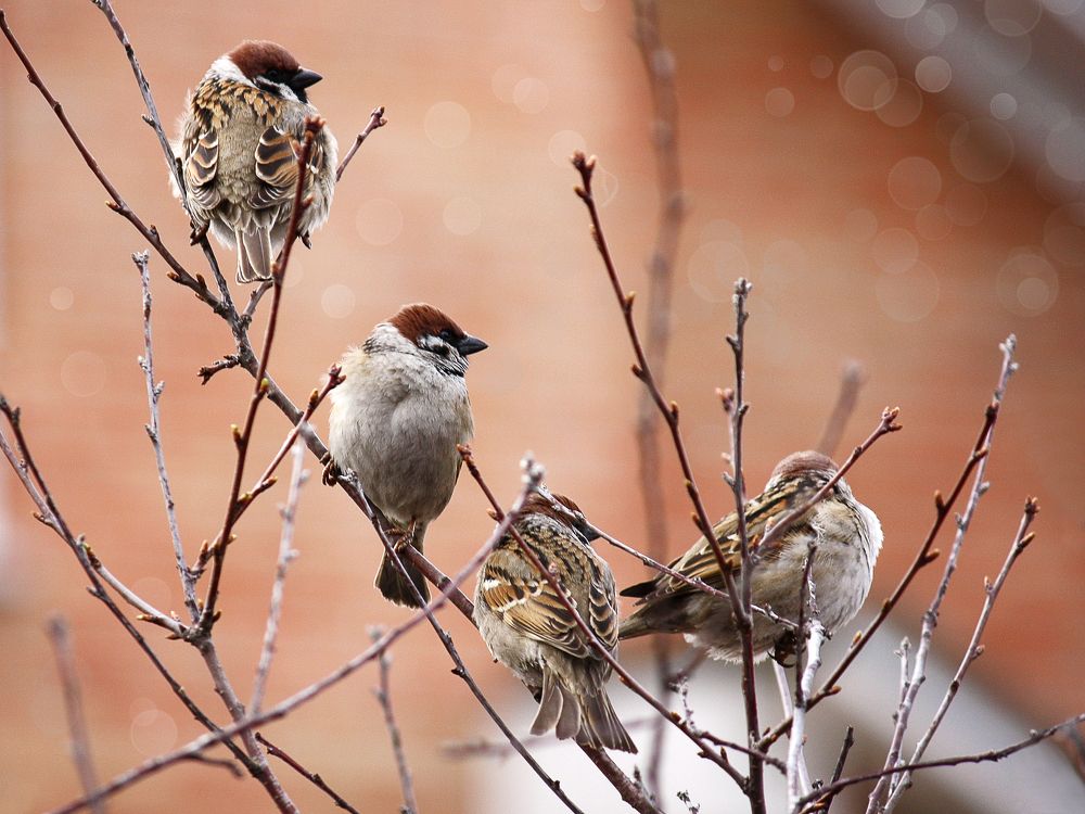 Photograph by виктор ковчин
