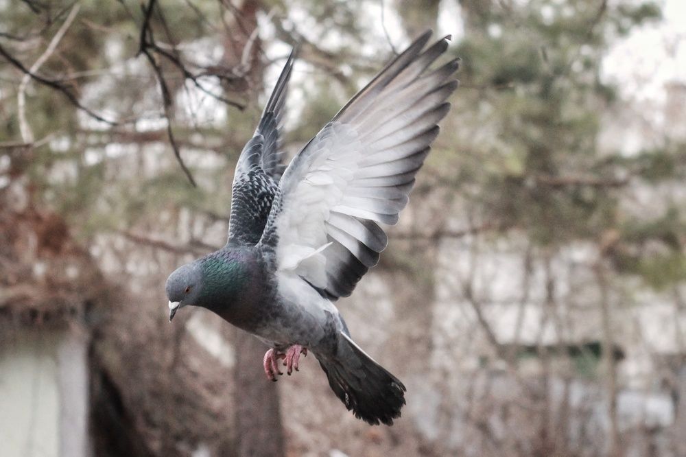 Photograph by Елена Ибрагимова