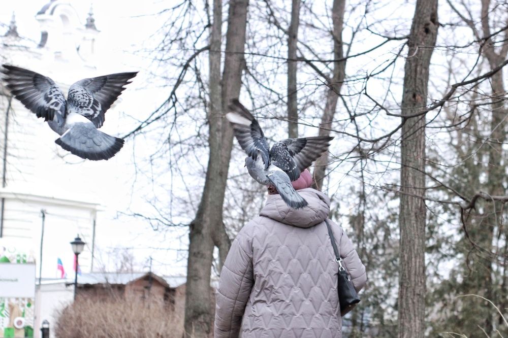 Photograph by Елена Ибрагимова