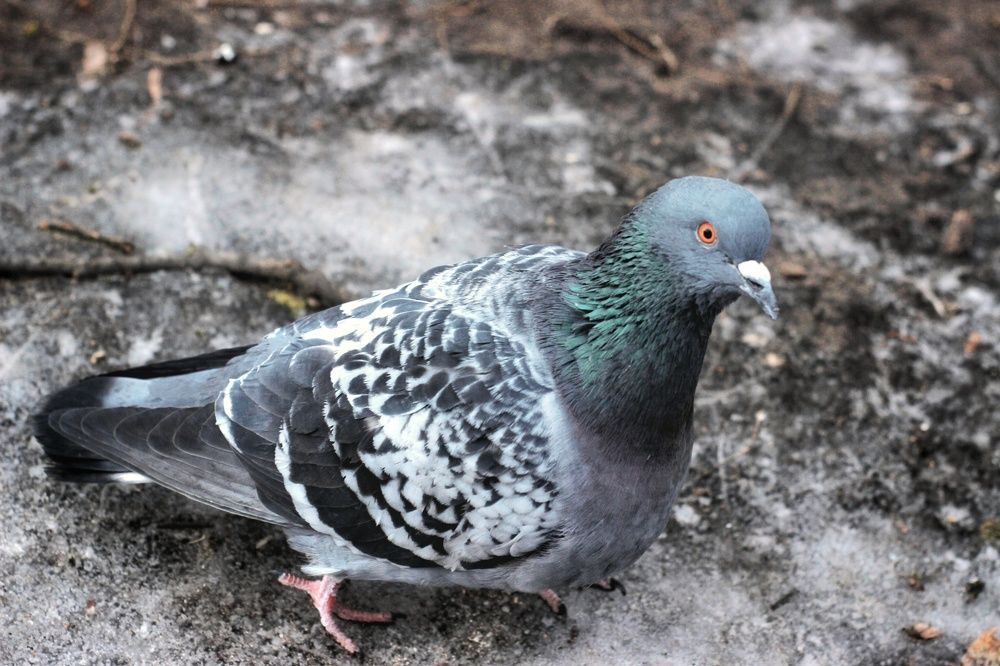 Photograph by Елена Ибрагимова