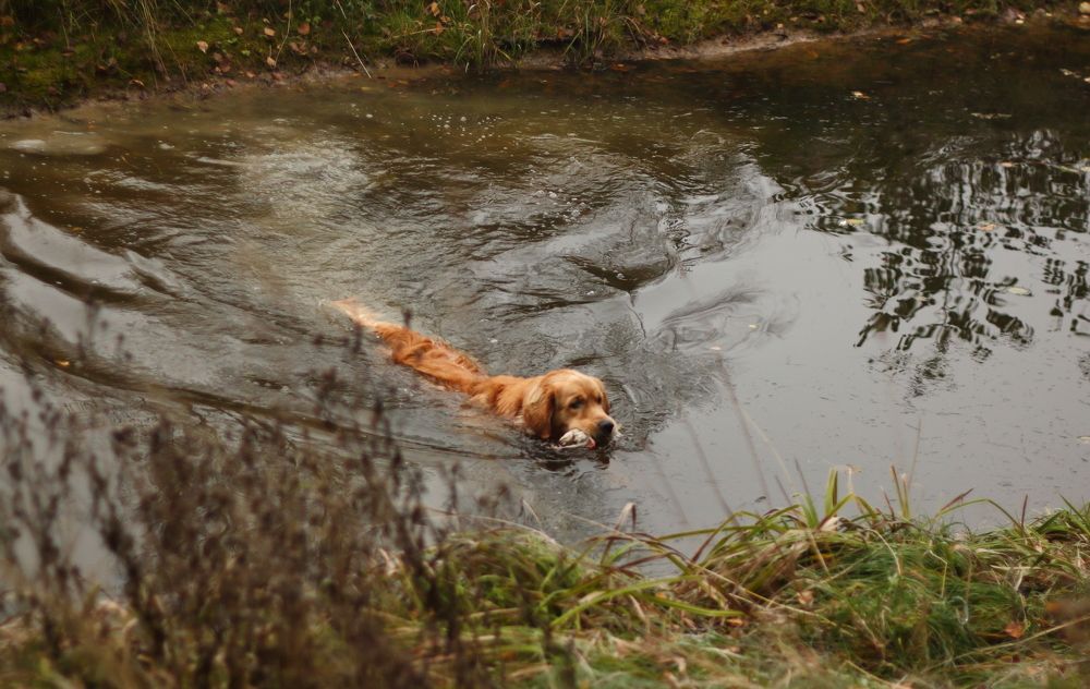 Фотография автора Михаил Кротков
