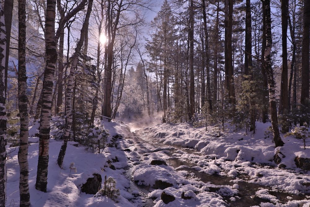 Photograph by Сергей Мозговой