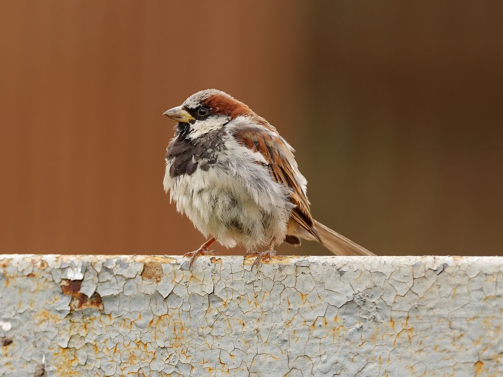 Photograph by Вера Машина