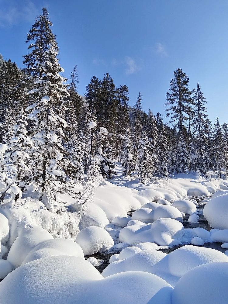 Photograph by Кощеева Марина