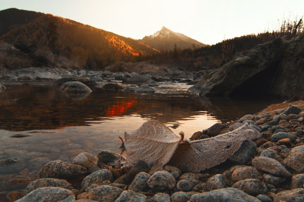 Photograph by Martina Pristachová