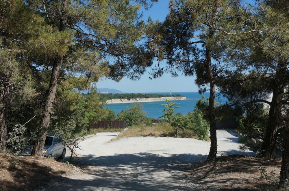 Photograph by Владимир Николенко