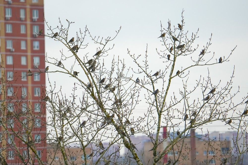 Photograph by Михаил Трусов