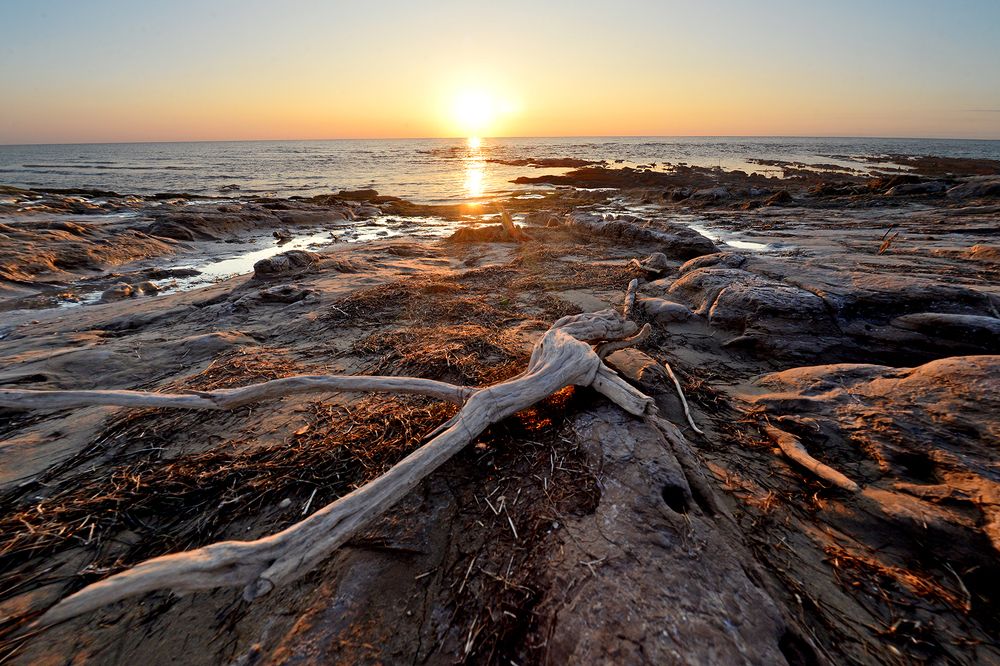 Фотография автора Игорь Ломов