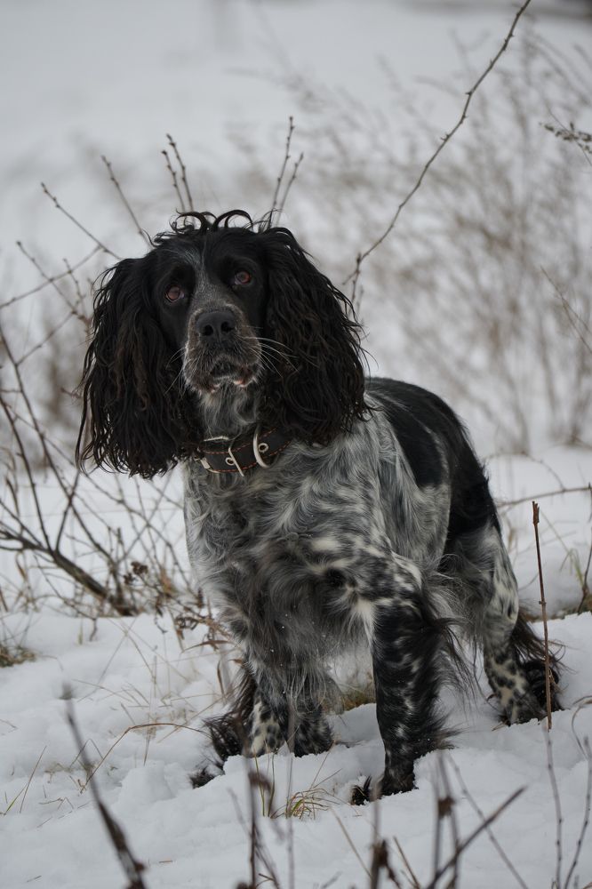 Photograph by Андрей Мольков