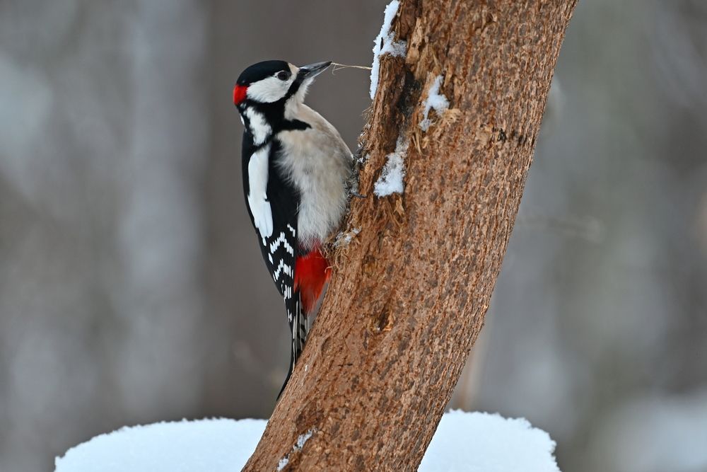 Photograph by Сергей Зубов
