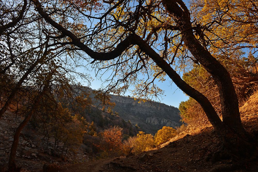 Фотография автора Игорь Ломов