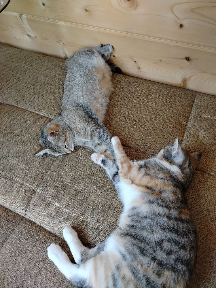 Photograph by Зульфия Набиуллина