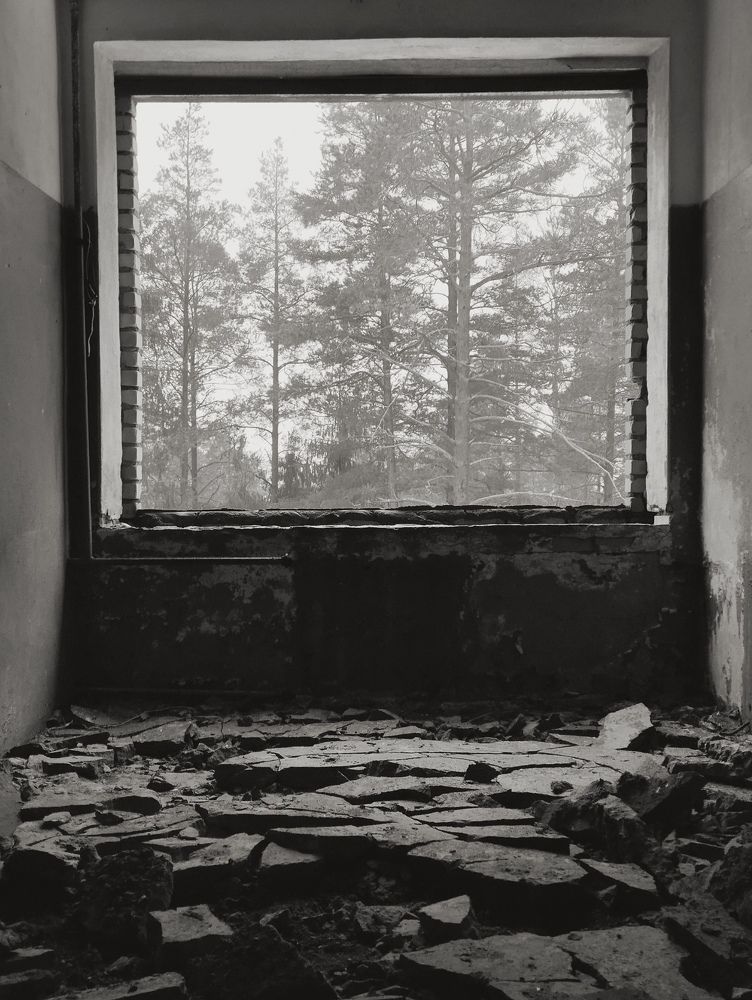 Photo #11759014